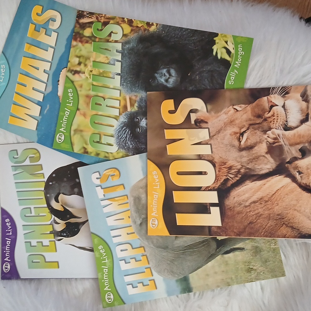 Animal Themed Children's Book Lot